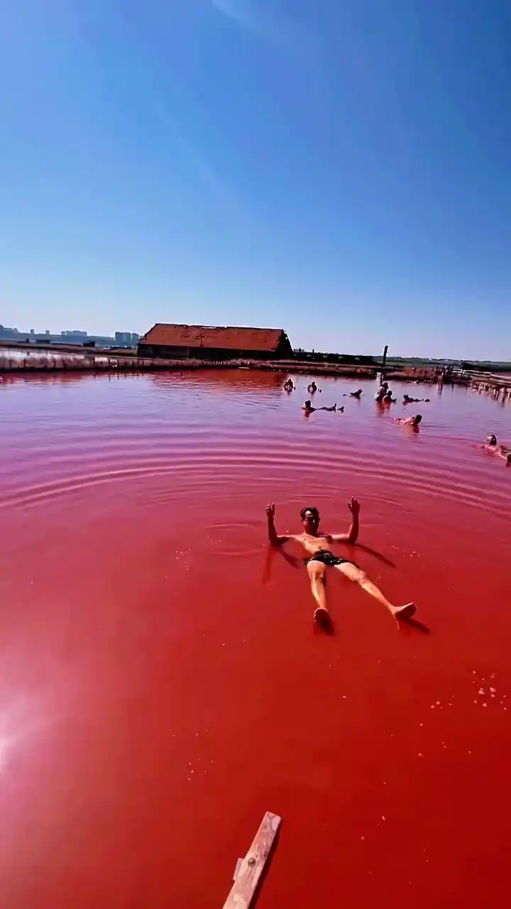 Descubre Bulgaria: De Sofía a las Salinas de Burgas image