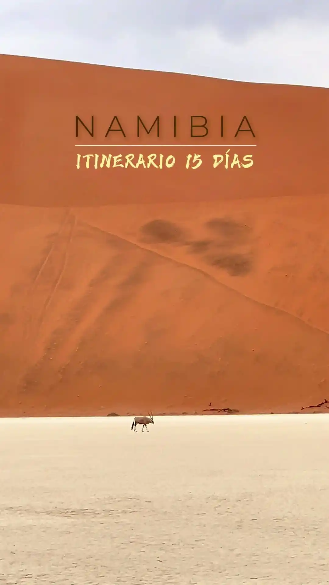 Aventura de 15 Días en Namibia image