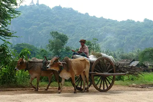 Battambang