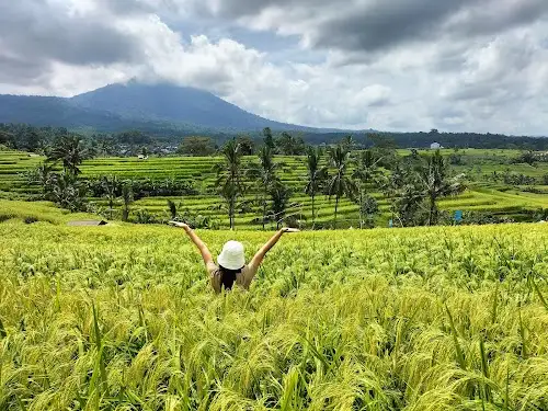 Terrazas de Arroz de Jatiluwih
