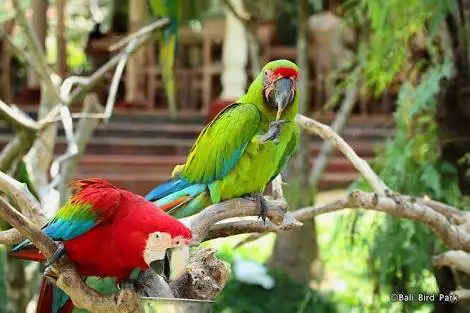 Parque de Aves