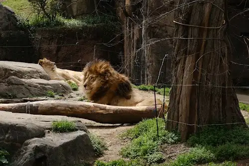 Zoológico de Tennoji