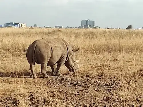 Parque Nacional de Nairobi