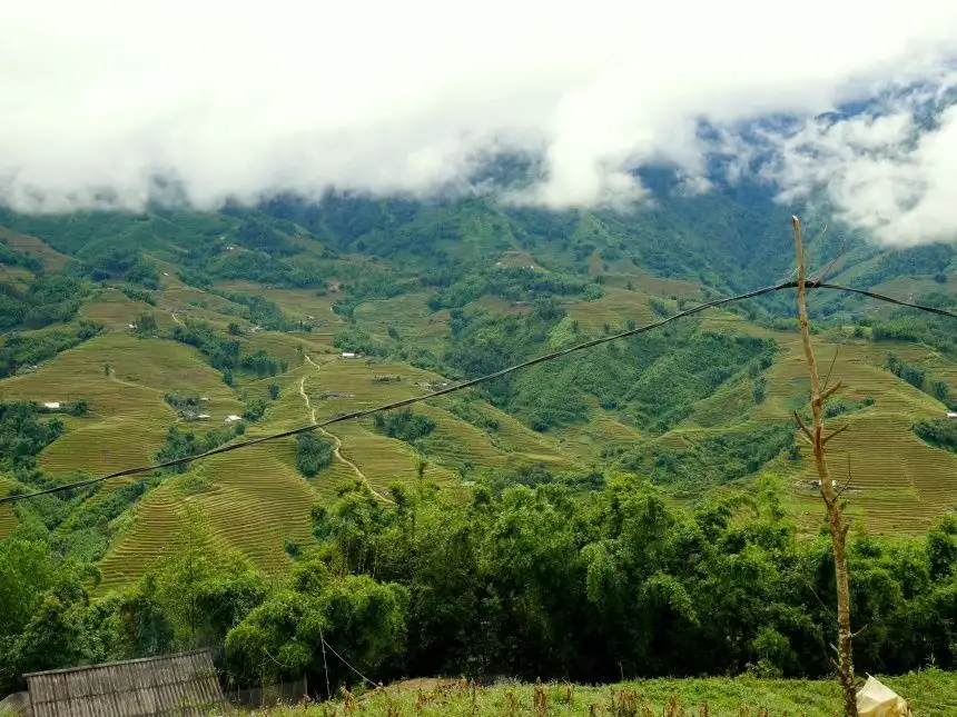 Campos de Arroz de Sapa