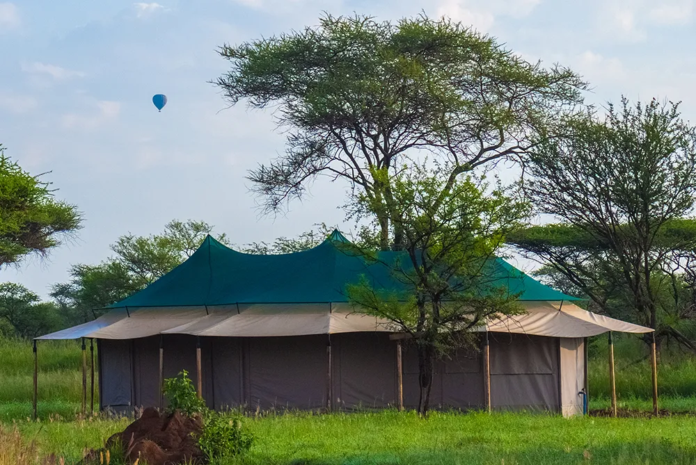 Sueños de Africa Luxury Camp avatar