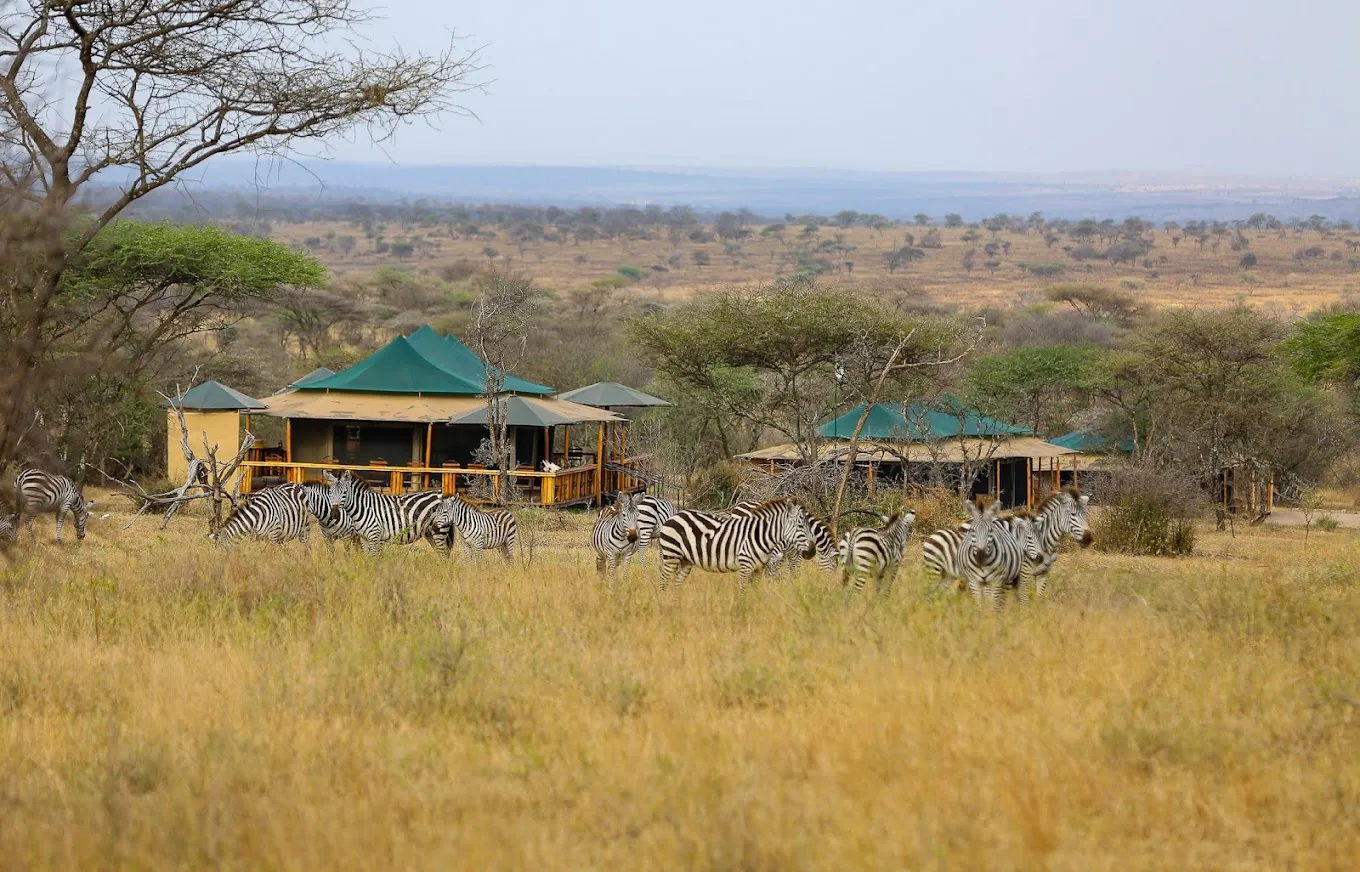 Serengeti Sound of Nature avatar