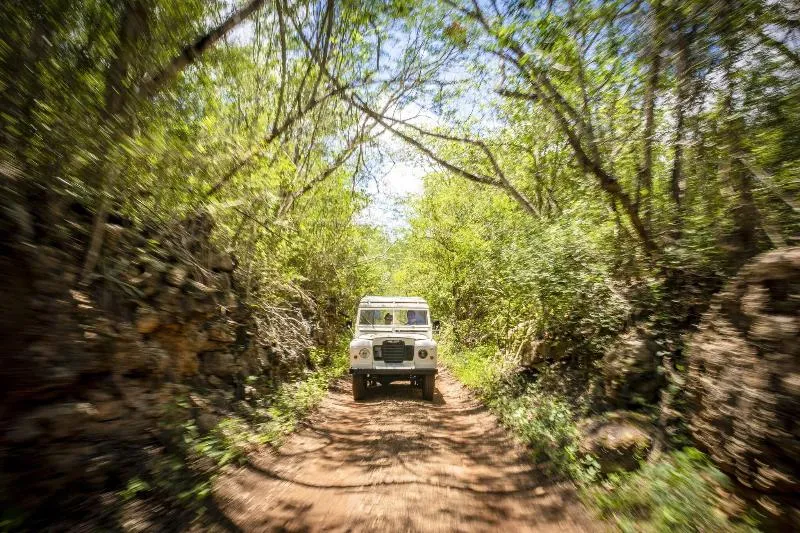 Hotel Chichen Itza avatar