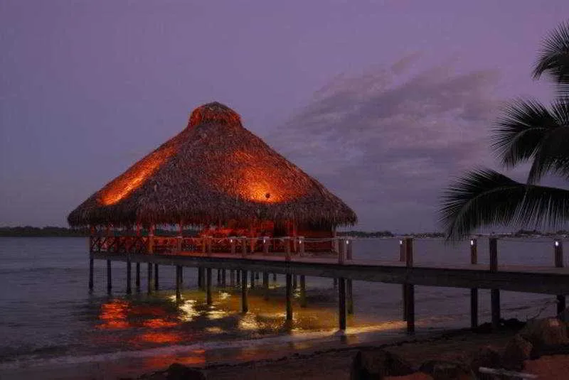 Playa Tortuga Hotel & Beach  Resort avatar