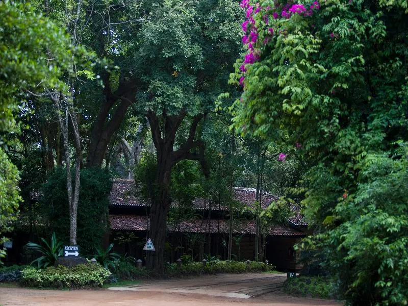 Hotel Sigiriya avatar