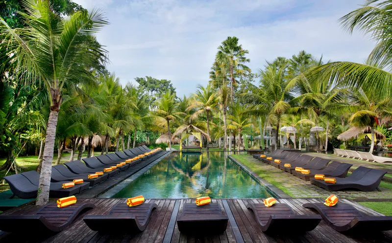 The Mansion Resort Hotel & Spa avatar