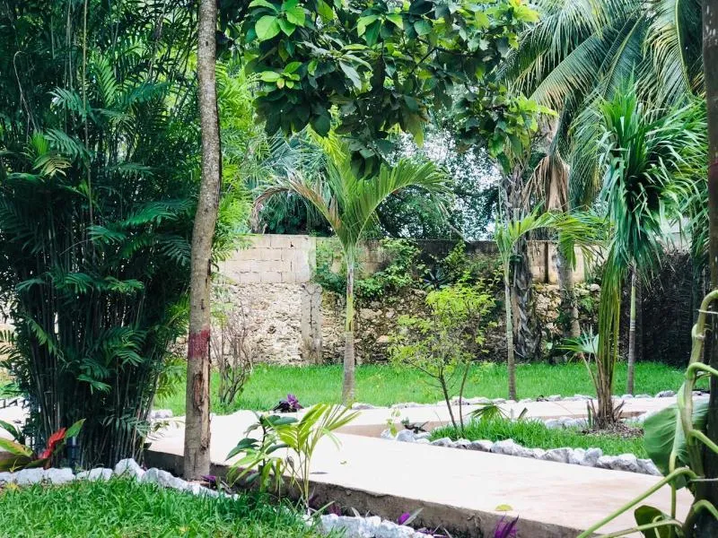 Tierra maya Hotel & Sanctuary avatar