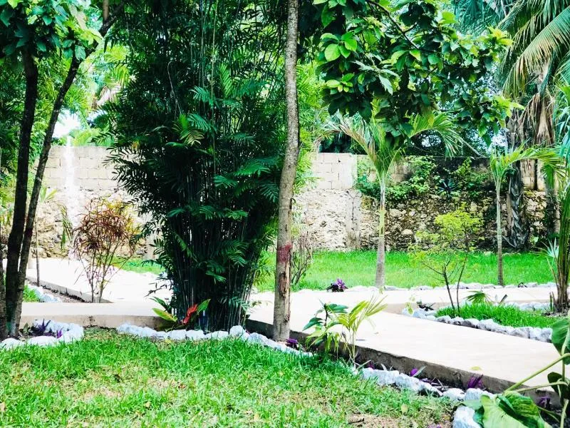 Tierra maya Hotel & Sanctuary avatar
