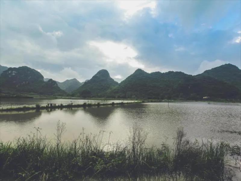 Tam Coc Rice Fields Resort avatar