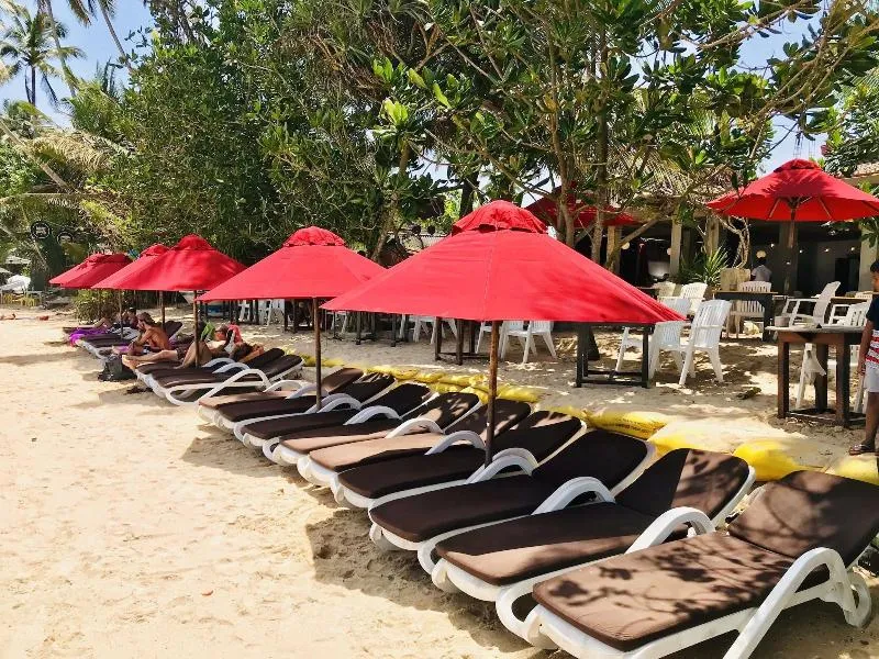 Central Beach Inn avatar