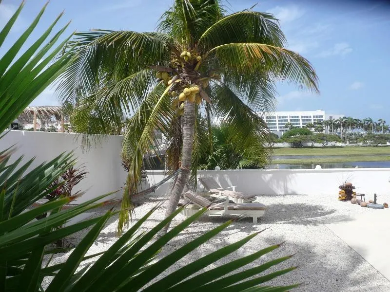 Karibu Aruba Boutique Hotel avatar