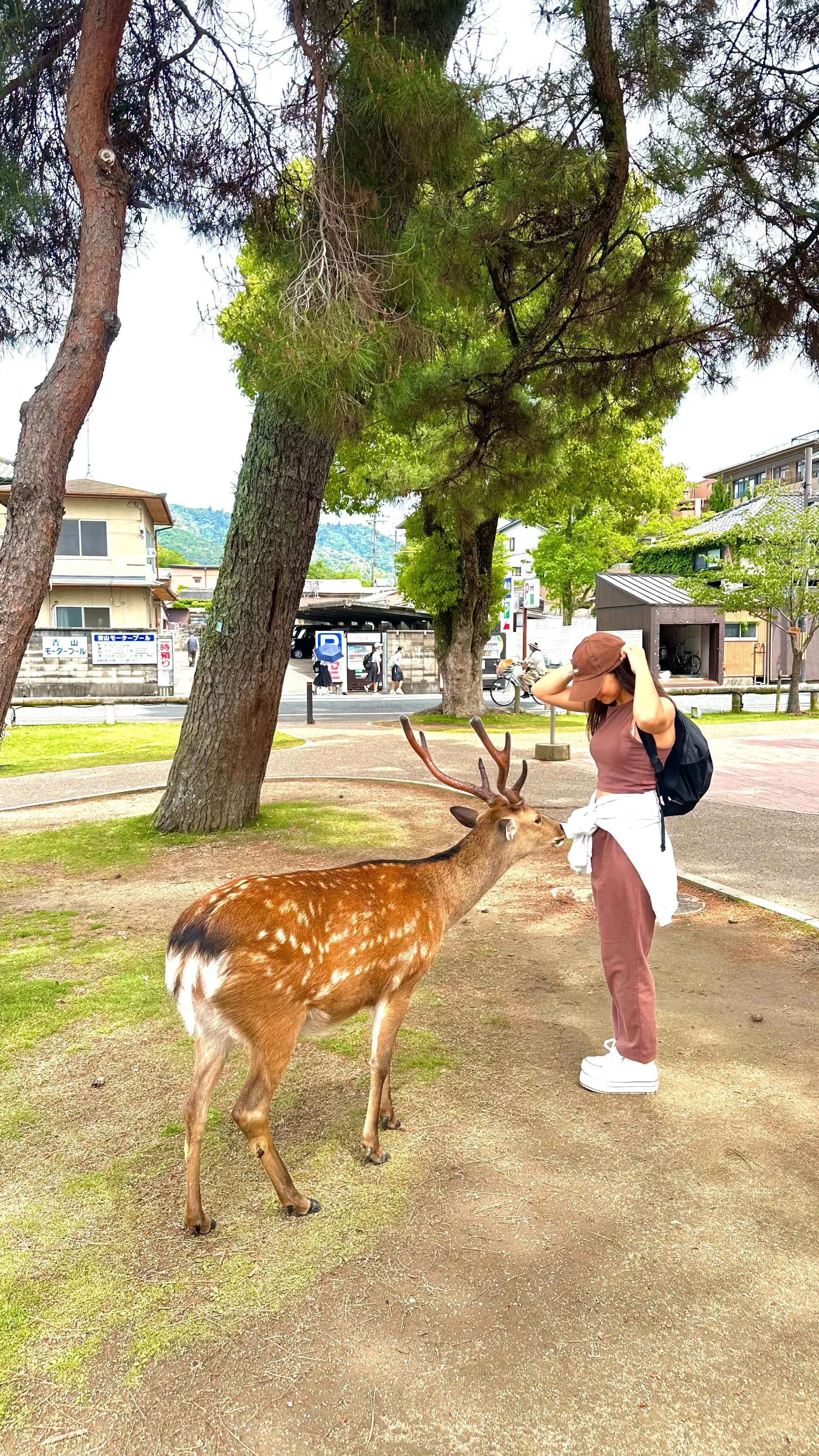 customize trip image