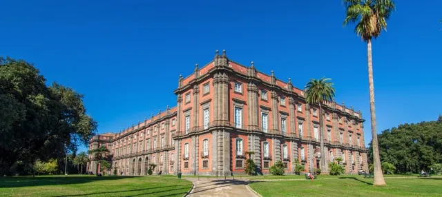 Tour privado por el Museo de Capodimonte