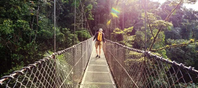 Tour por los puentes colgantes de Arenal