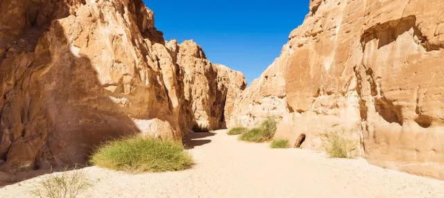 Tour en 4x4 por el Cañón Blanco y Ain Khudra