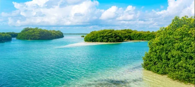 Excursión a Sian Ka'an + Paseo por Muyil