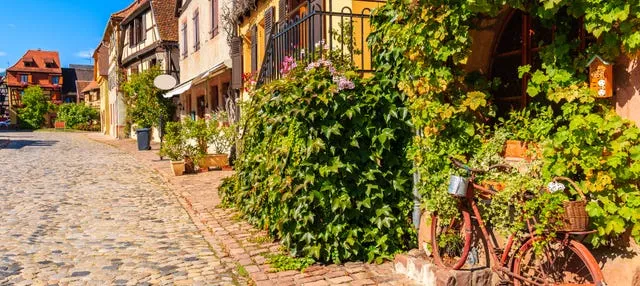 Excursión a los pueblos de Alsacia y el castillo de Haut-Koenigsbourg