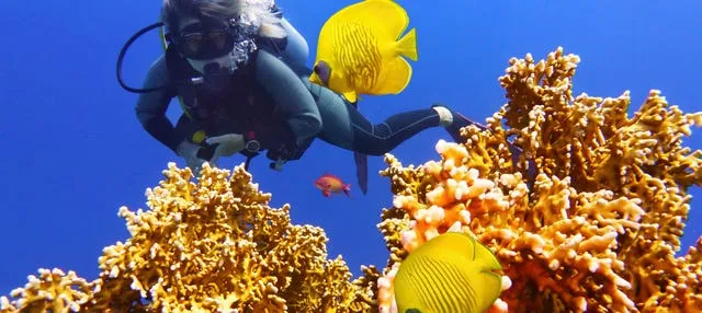Bautismo de buceo en Gili Trawangan