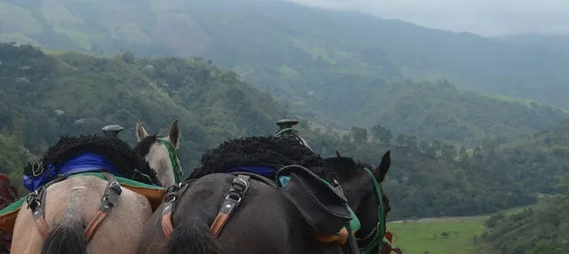 Paseo a caballo por Salento