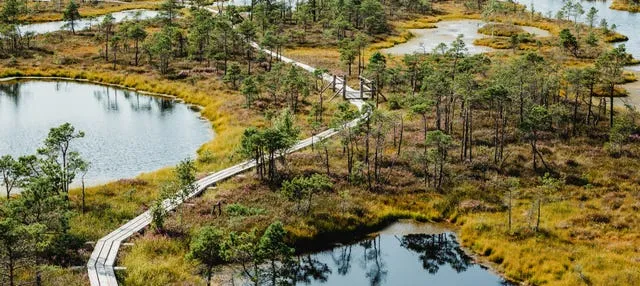 Excursión al Parque Nacional de Kemeri y Jürmala