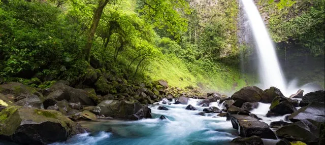 Excursión a la Catarata Río Fortuna