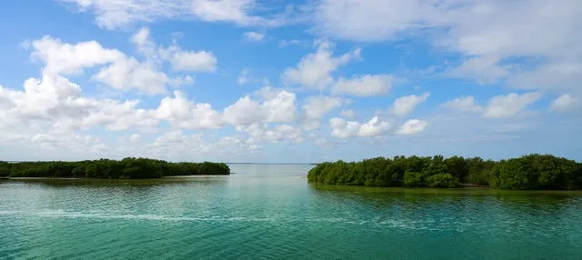 Tour en lancha por la laguna Yalahau y su cenote