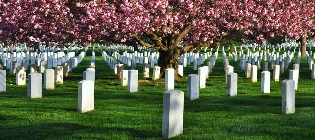 Tour por el Cementerio de Arlington y memoriales de Washington