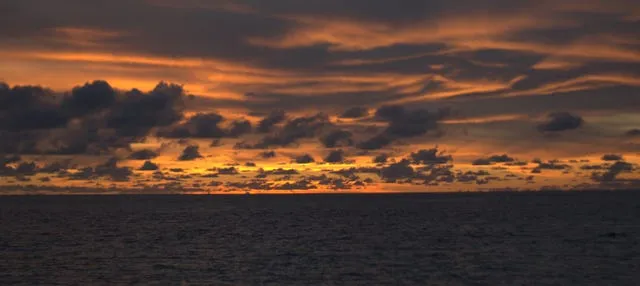 Paseo en barco al atardecer + Snorkel