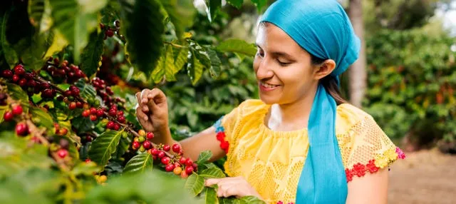 Tour del café por la finca Colombia