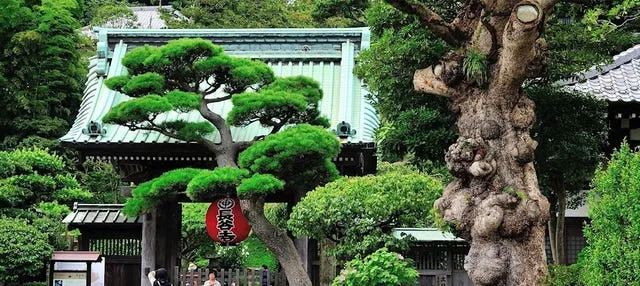 Excursión a Kamakura