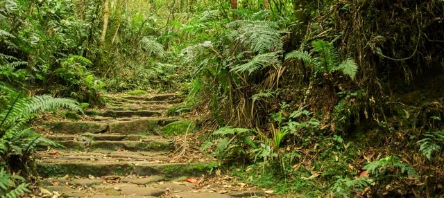 Excursión al Parque Natural Chicaque