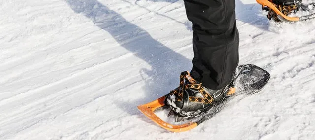 Paseo con raquetas de nieve