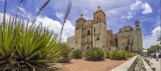 Tour privado por Oaxaca