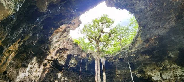 Excursión a los cenotes de Homún