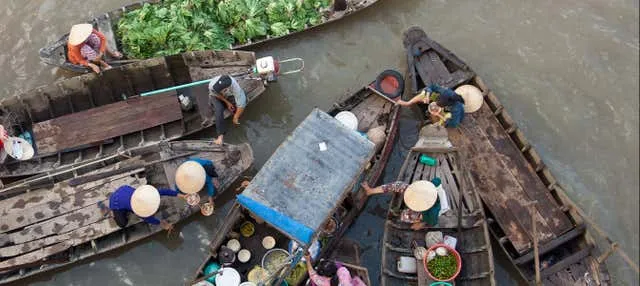 Excursión privada al delta del Mekong