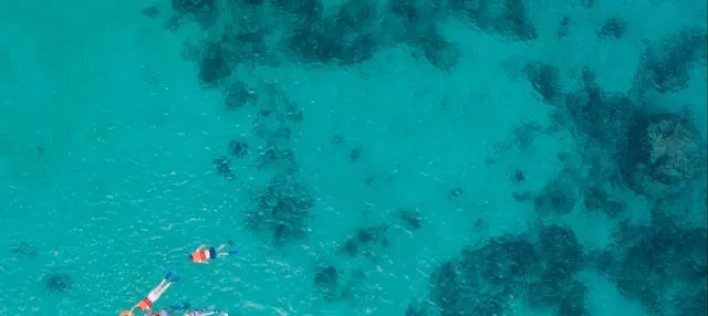 Snorkel en Cancún