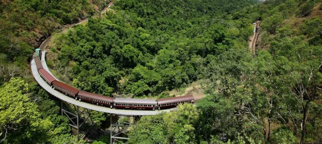 Excursión a Kuranda en tren panorámico + Teleférico