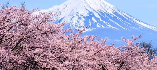 Excursión al monte Fuji y el lago Ashi