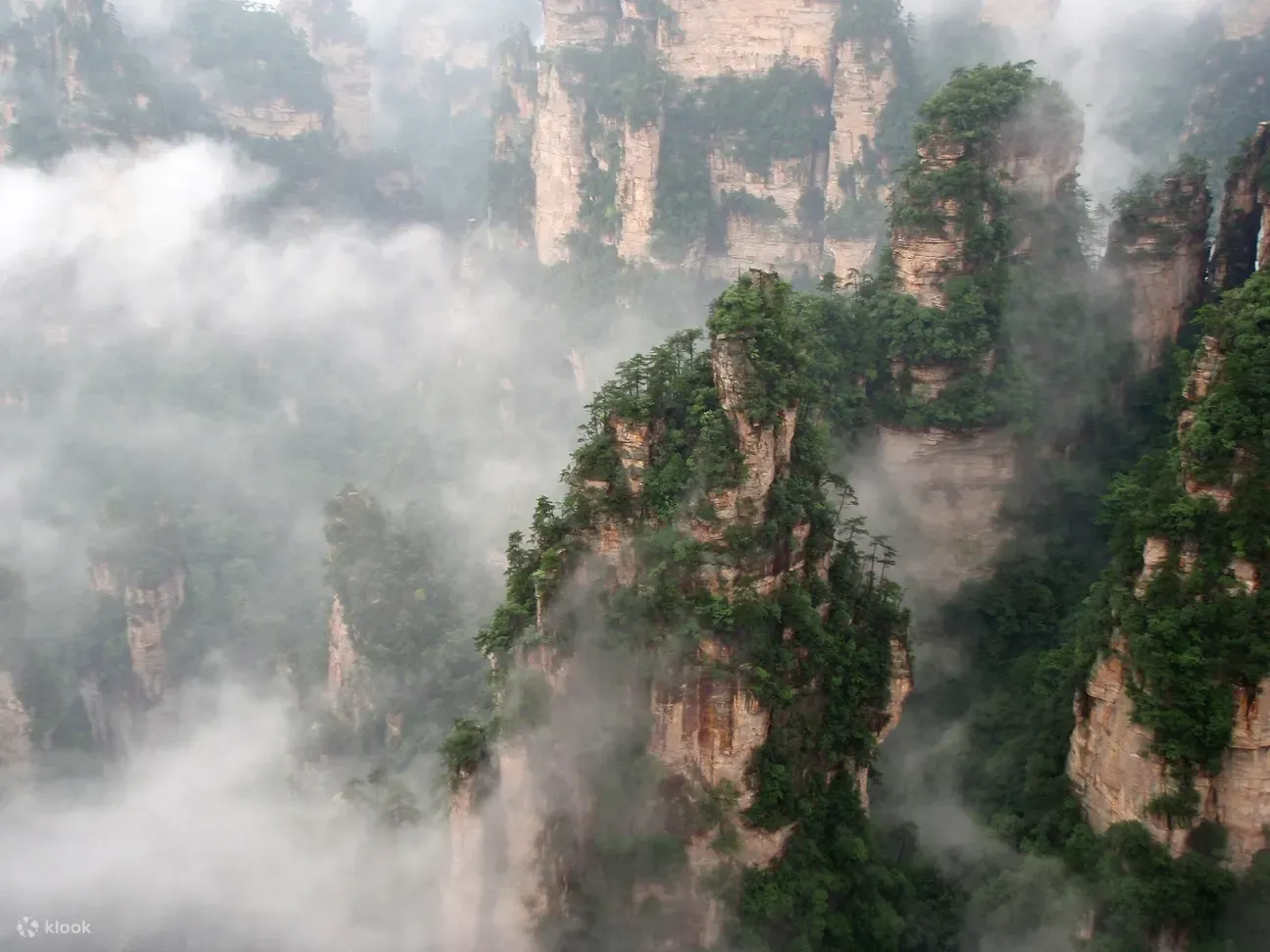 Tour privado de un día al Parque Nacional de Zhangjiajie y la Montaña Tianzi