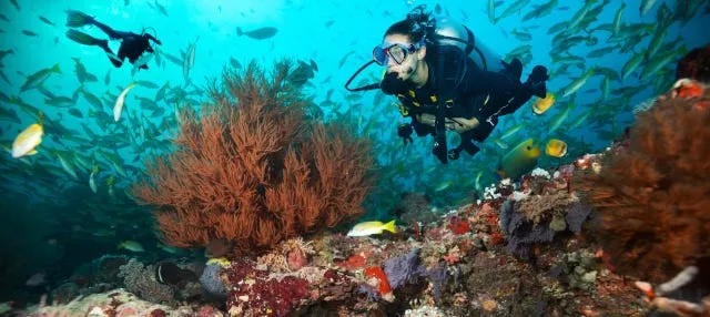 Buceo en Maafushi