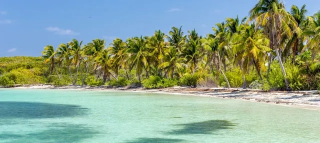 Excursión a Isla Contoy e Isla Mujeres