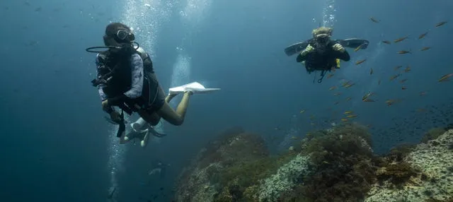 Buceo en Sail Rock