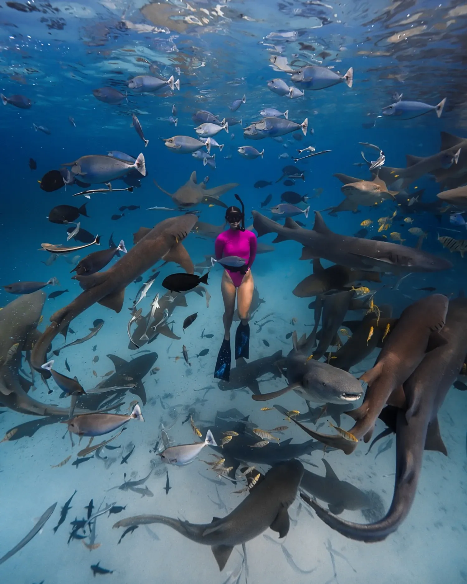 Excursión a North Malé y la isla de Gulhi