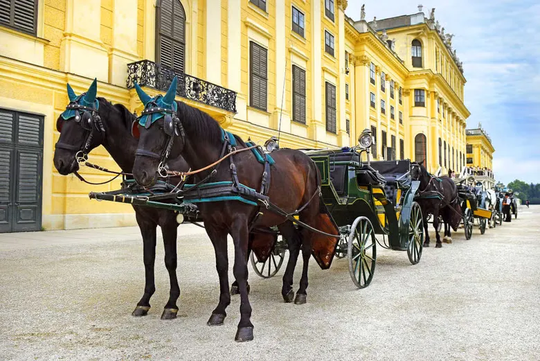 Visita Palacio Schönbrunn