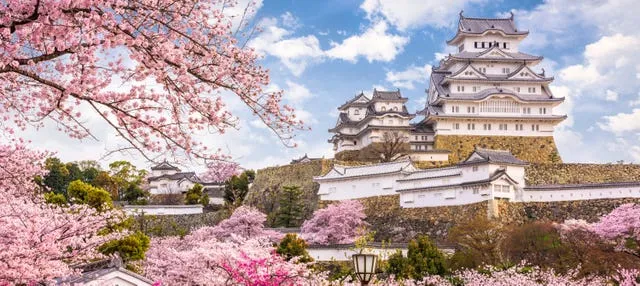 Excursión privada a Himeji y Kobe