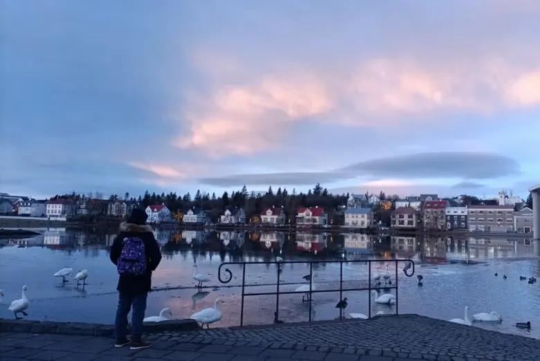 Freetour por Reikjavik